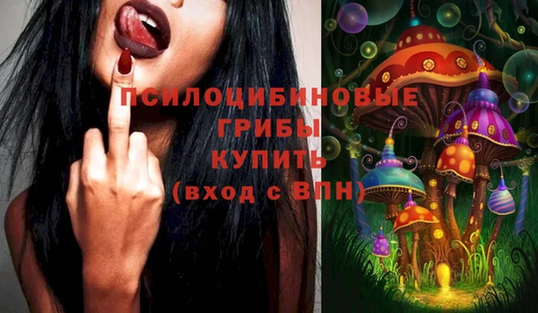 ешки Вязьма